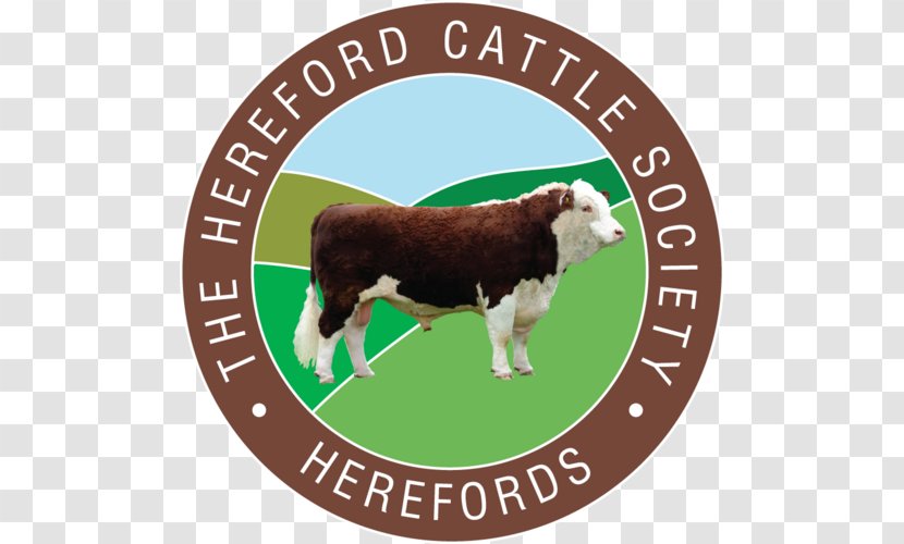 The Hereford Cattle Society Beefmaster Limousin Angus - Farm - United Kingdom Transparent PNG