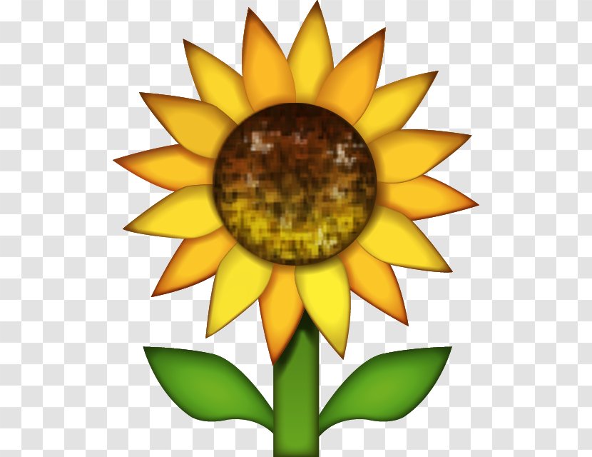 Emojipedia Common Sunflower Sticker IPhone - Plant - Sunflowers Transparent PNG