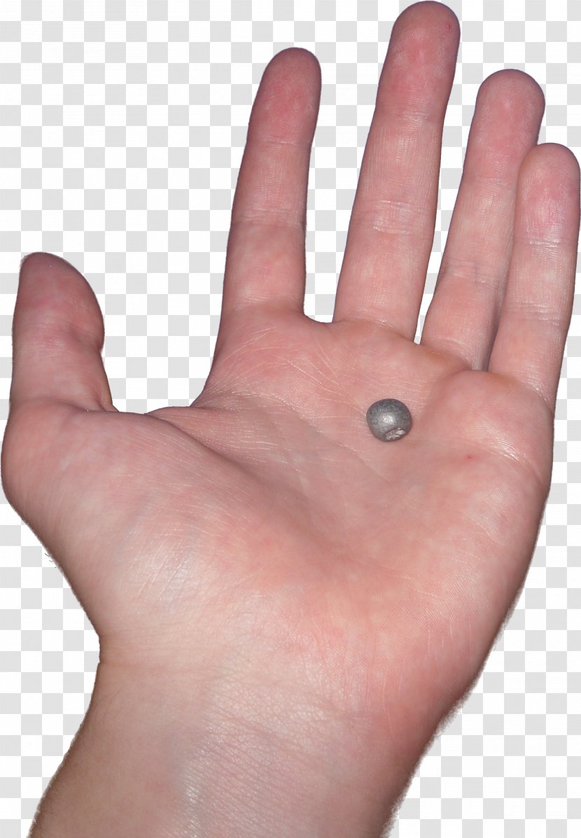 Hand Finger Thumb - Palm - Hands Transparent PNG