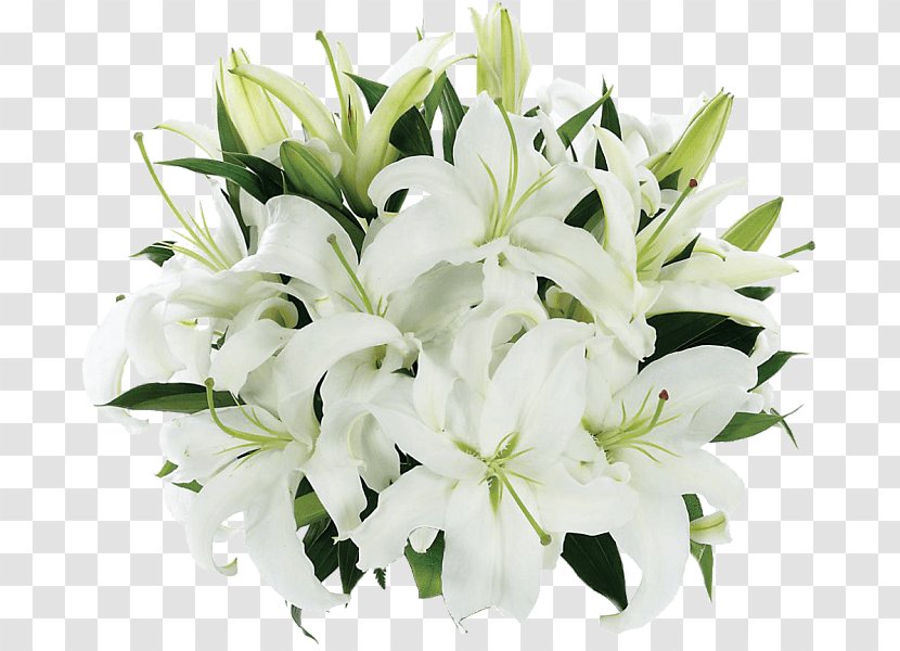 Madonna Lily Flower Bouquet Floral Design 'Stargazer' - Gift - Gladiolus Png White Transparent PNG