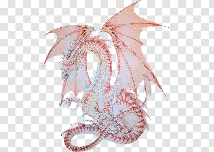 Dragon Griffin Fantasy Legendary Creature Mythology - Tree Transparent PNG