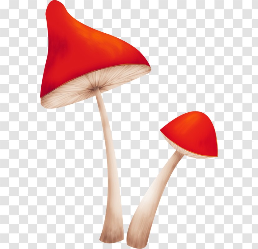 Mushroom Fungus - Poisoning - Creative Mushrooms Transparent PNG