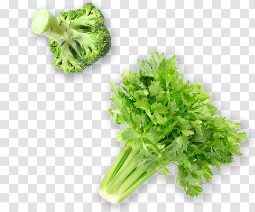 Vegetarian Cuisine Leaf Vegetable Food Herb - Coriander - Celery Transparent PNG