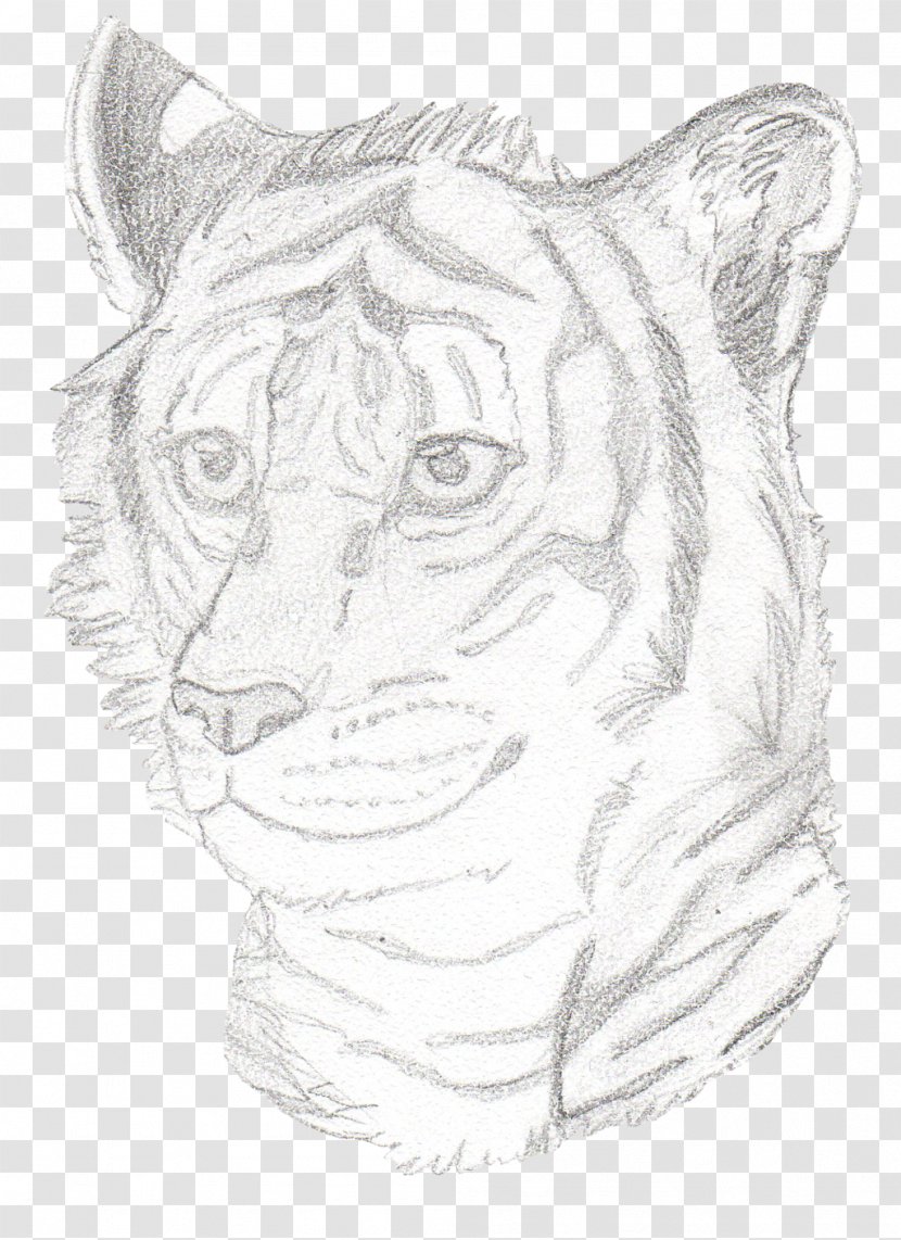 Tiger Whiskers Lion Visual Arts Sketch - White Transparent PNG