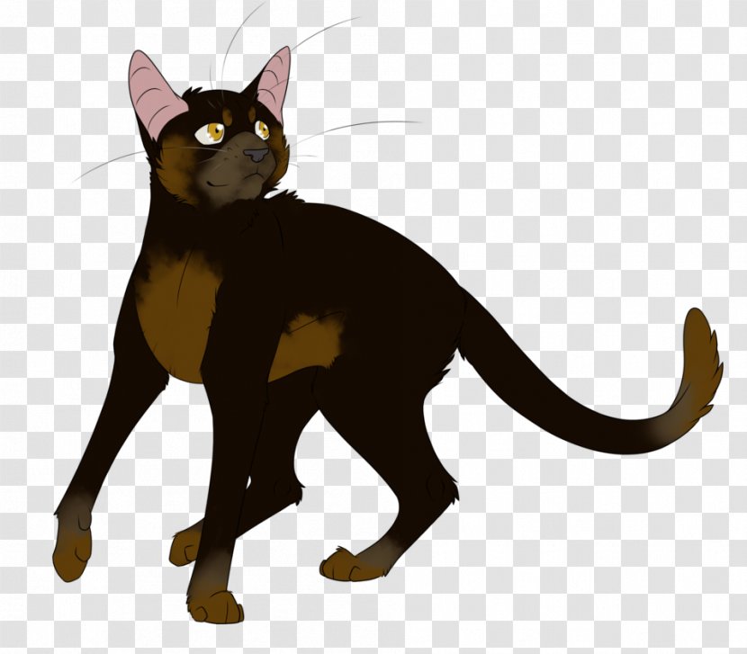 Black Cat Warriors Spiderleg Erin Hunter - Domestic Shorthaired - Zara Transparent PNG