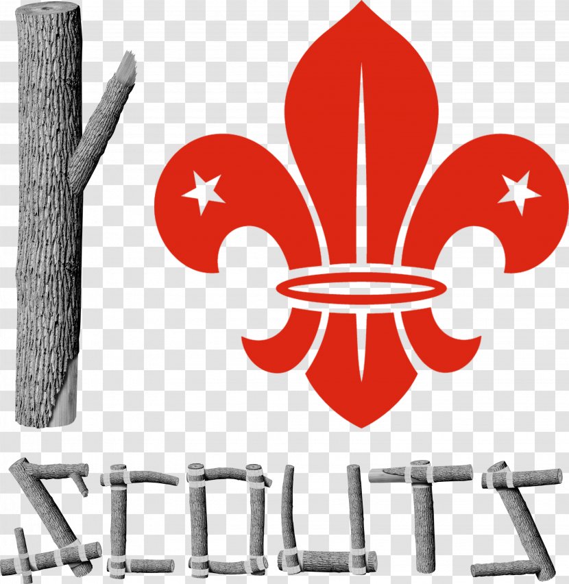 Scouting World Scout Emblem Boy Scouts Of America Organization The Movement Cub - Love Wood Transparent PNG