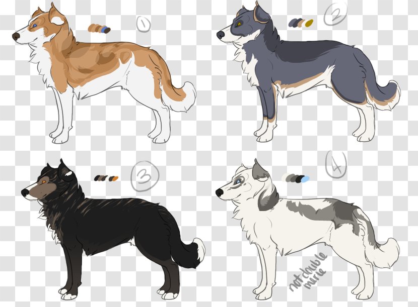 Dog Breed Tail - Group Transparent PNG