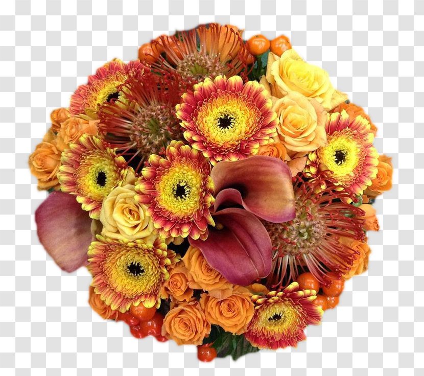 Transvaal Daisy Cut Flowers Floral Design - Orange - Flower Transparent PNG