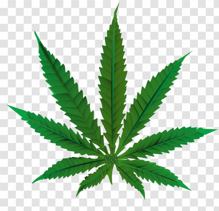 Cannabis Sativa Leaf Medical Hemp - Drug Transparent PNG