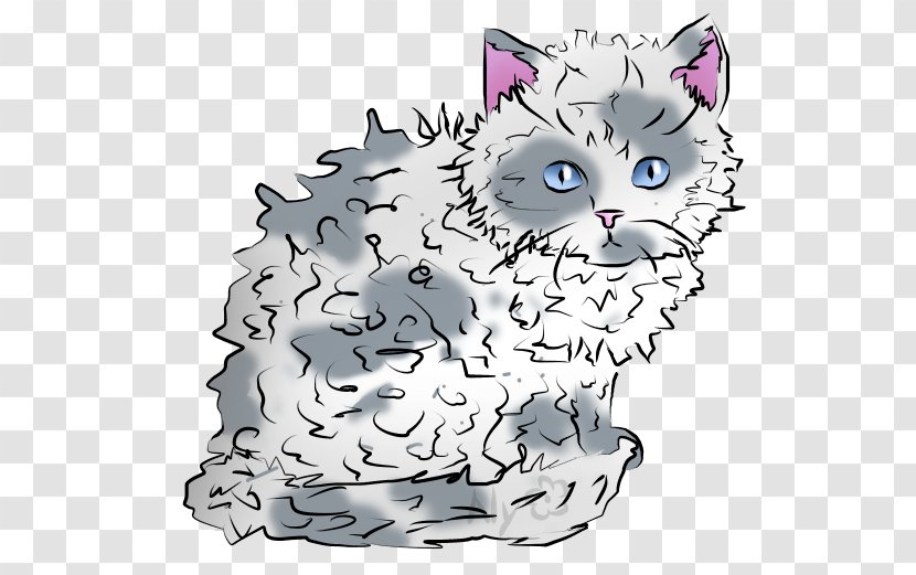 Kitten Whiskers Selkirk Rex Tabby Cat Domestic Short-haired - Carnivoran Transparent PNG