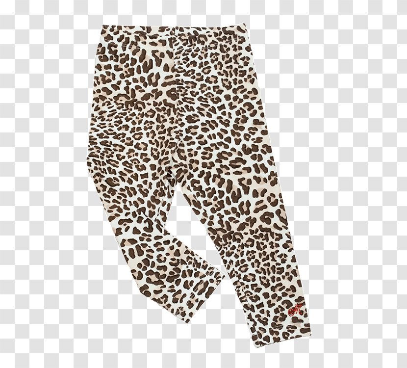 Leggings Leopard Bluza Monnalisa Pants - Jacket Transparent PNG
