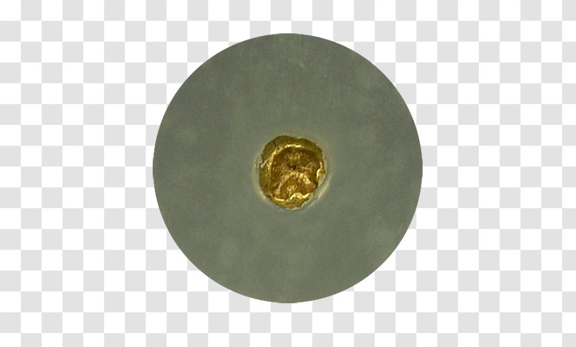 01504 Circle - Metal Transparent PNG