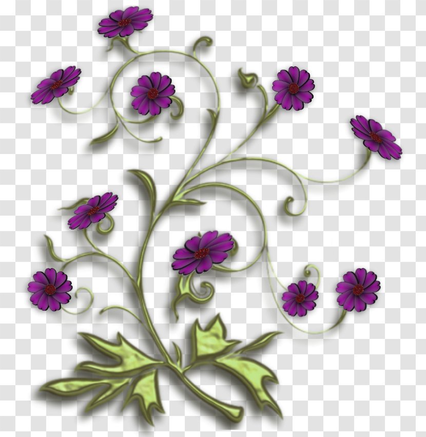 Floral Design Chrysanthemum Anemone Pattern - Family Transparent PNG
