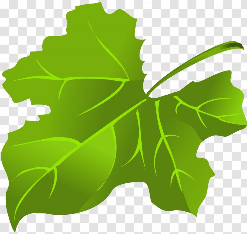 Maple Leaf Green Clip Art - Flag Of Canada Transparent PNG