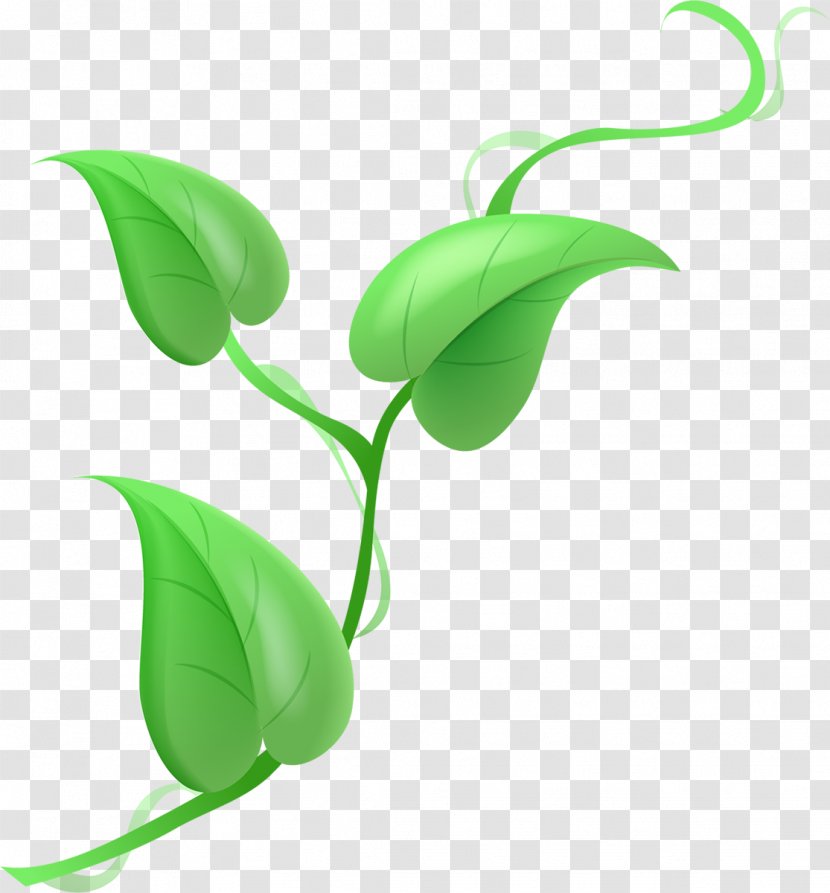 Flower Lilium Clip Art - Lilly Transparent PNG