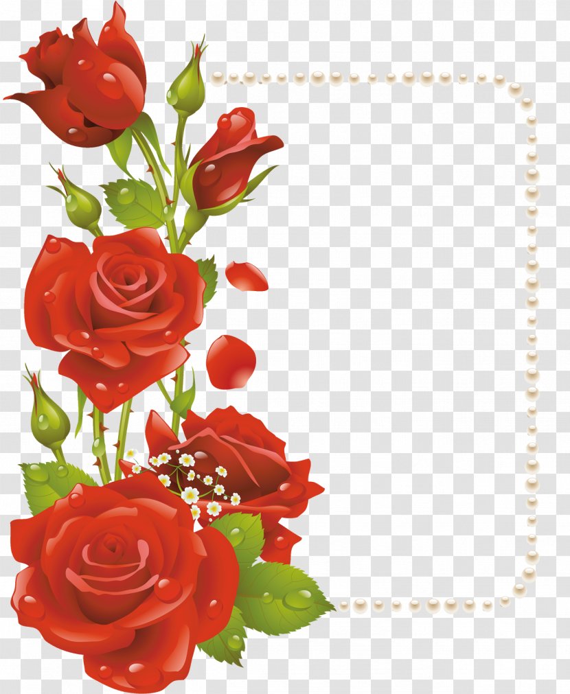 Picture Frames Flower Rose Clip Art - Floristry Transparent PNG