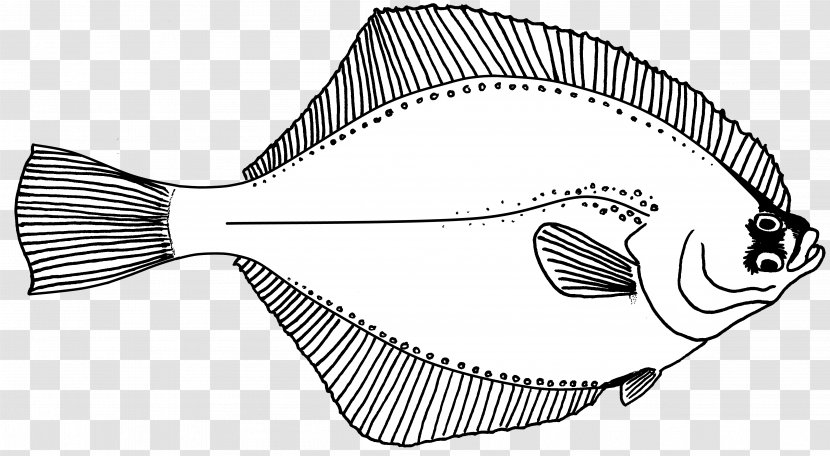 Line Art Fish Drawing Flounder - Cartoon Transparent PNG