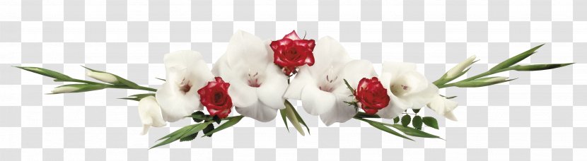 Flower TAK Marriage - Cascading Style Sheets - Gladiolus Transparent PNG