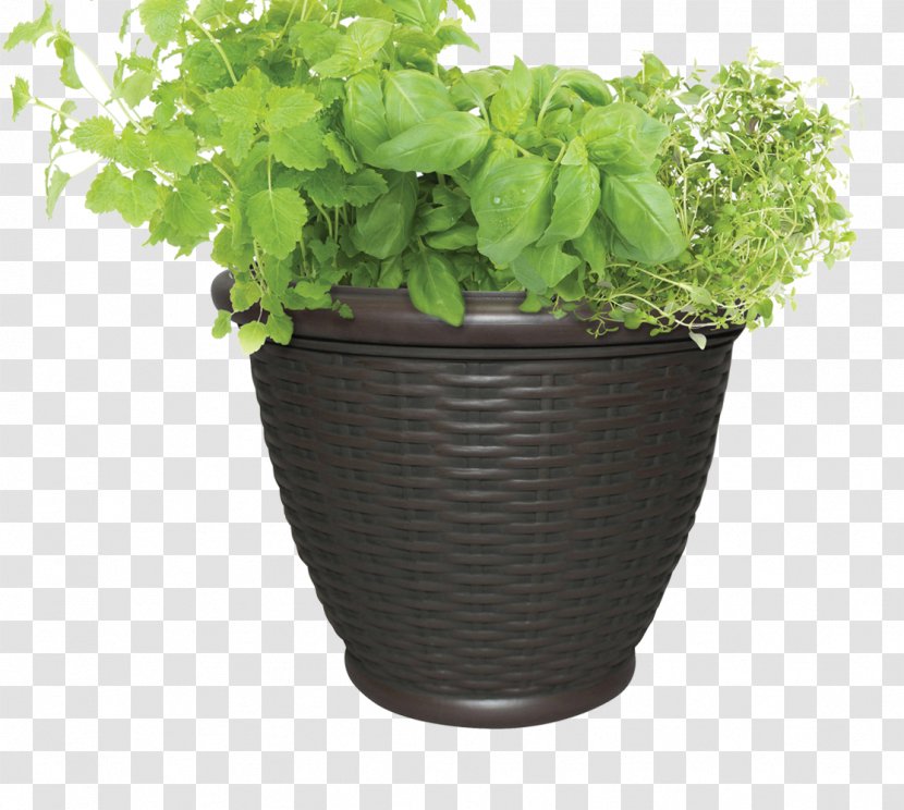 Stock Photography Flowerpot Thymes Houseplant Herb - Basil Transparent PNG