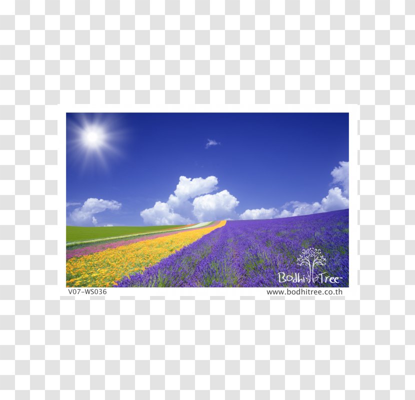 Paper Cardboard Stationery A4 Wallpaper - Horizon - Scenery Background Transparent PNG