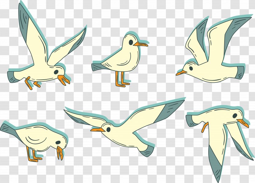 Bird Duck Albatross - Wing - The Flying Transparent PNG