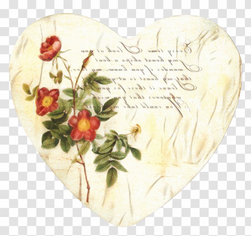 Valentines Day Heart - Petal - Anthurium Wildflower Transparent PNG