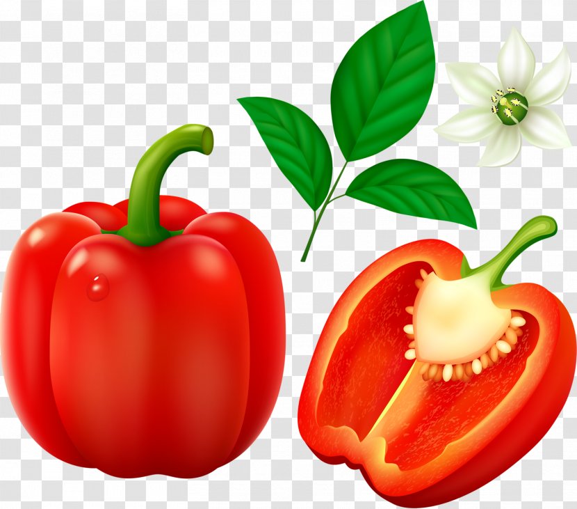 Bell Pepper Cayenne Chili Vegetable Clip Art - Pickled - Vegetables Transparent PNG