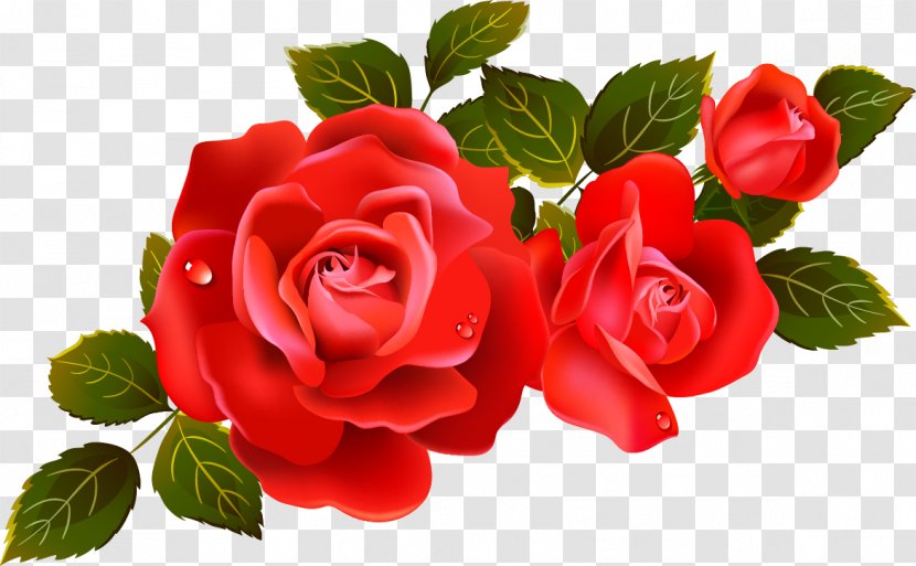 Rose Flower Clip Art - Plant - Large Red Roses Clipart Element Transparent PNG