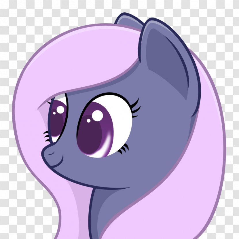 Whiskers Kitten Cat Pony Horse - Heart - Ambulance Coat Transparent PNG