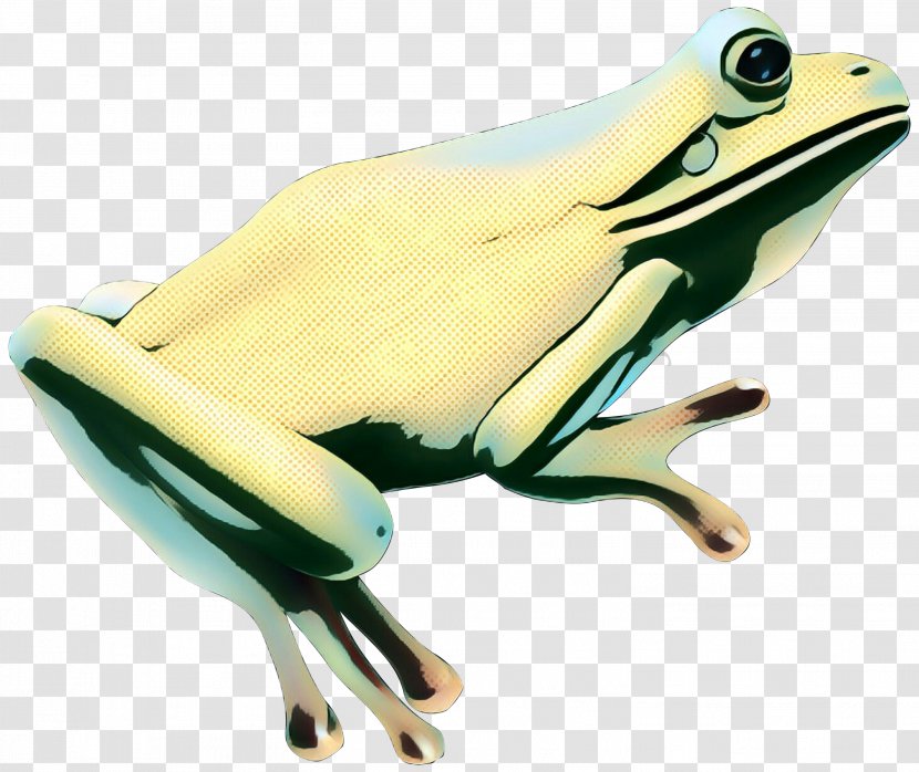 Tree Frog True Toad Product Design Transparent PNG