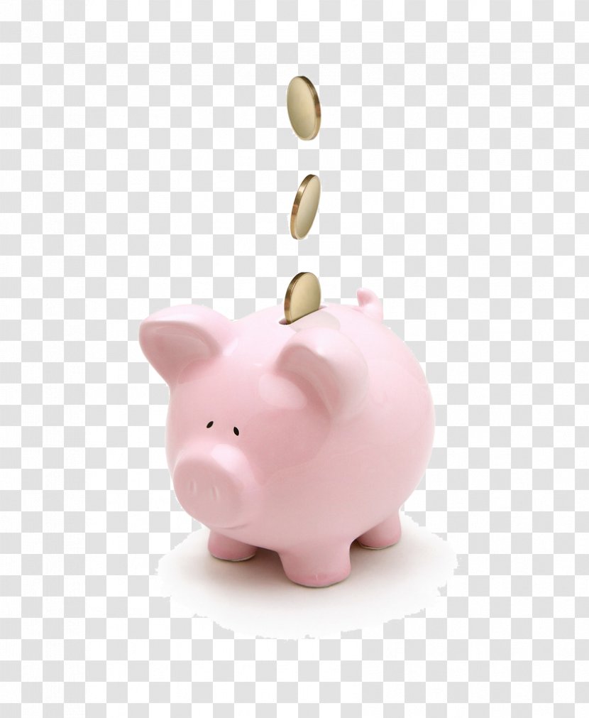 Money Piggy Bank Saving Coin Finance Transparent PNG