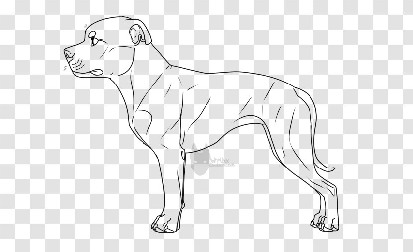 Dog Breed Line Art Whiskers White - Staffordshire Bull Terrier Transparent PNG