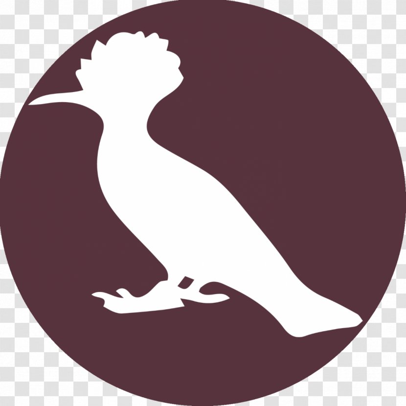 Beak Goose Cygnini Duck Bird Transparent PNG