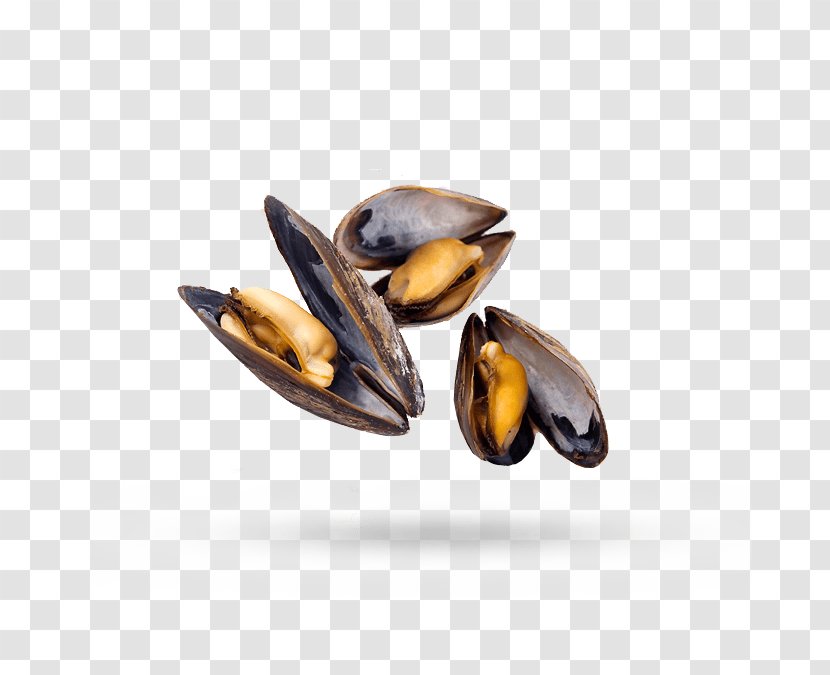 Seafood Background - Sunflower Seed - Plant Transparent PNG
