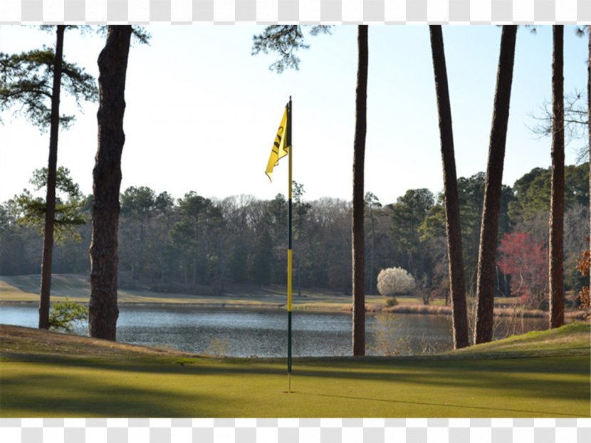 Golf Clubs Course Water Tree Transparent PNG