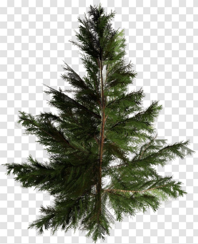Artificial Christmas Tree Pine Pinales - Spruce Fir Forest Transparent PNG