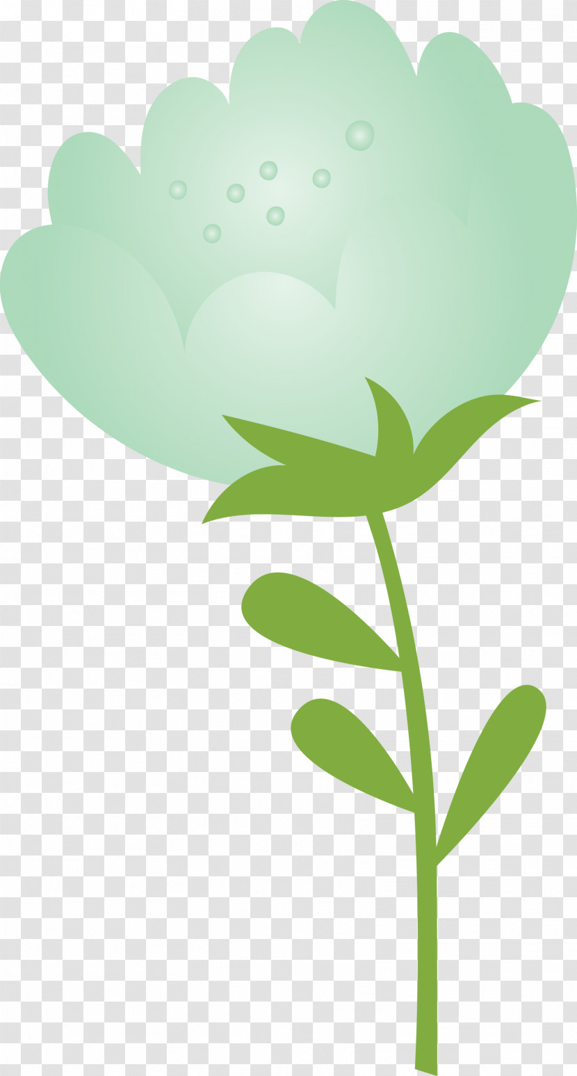 Green Leaf Plant Flower Plant Stem Transparent PNG