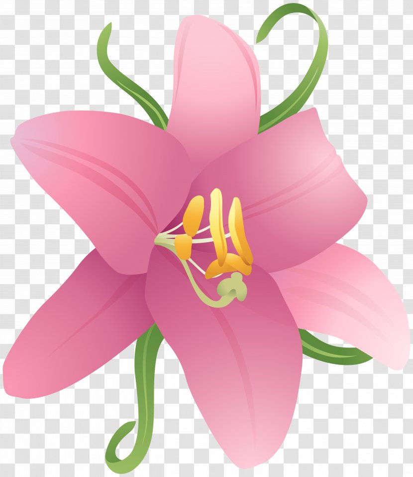 International Checker Hall Of Fame City Petal Flower Credit Card - Pink Clipart Image Transparent PNG