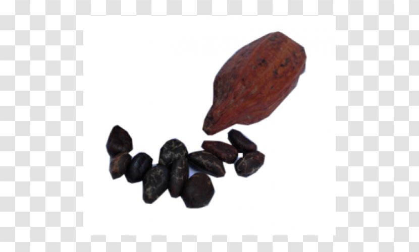 Cocoa Bean Theobroma Cacao Organic Food Flavor Bitterness - Coffee Transparent PNG