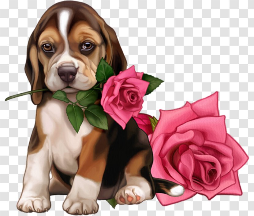 Greeting & Note Cards Birthday Ansichtkaart Dog My World@Mail.Ru Transparent PNG