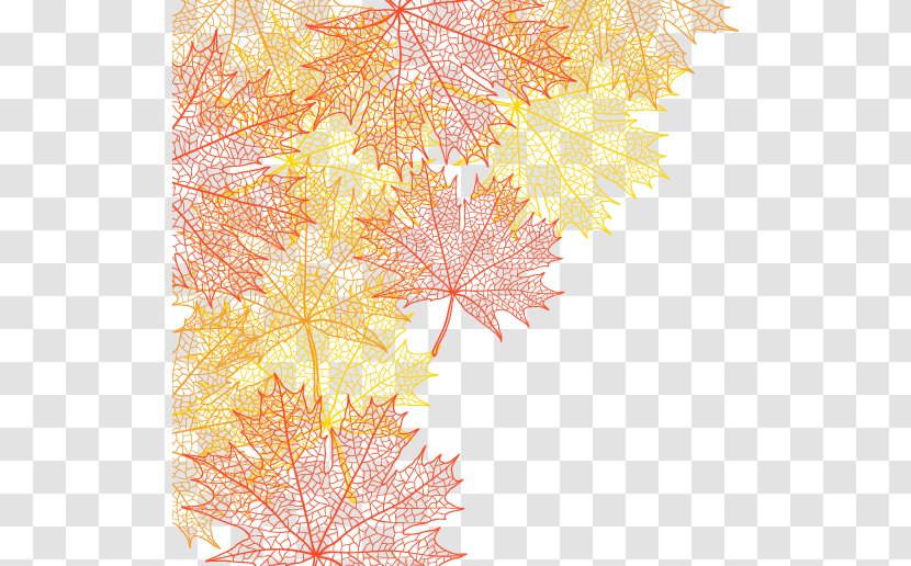 Autumn Maple Leaf Tree - Petal - Texture Painted Cartoon Transparent PNG