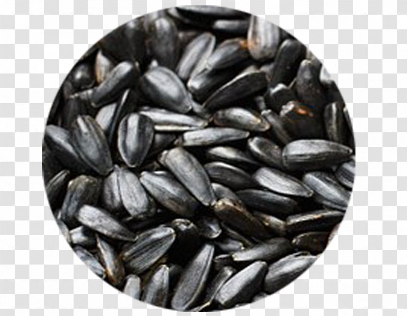 Nut Vegetarian Cuisine Sunflower Seed Common - Black And White - Health Transparent PNG