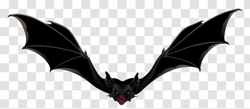 Bat Clip Art - Silhouette - Creepy Picture Transparent PNG