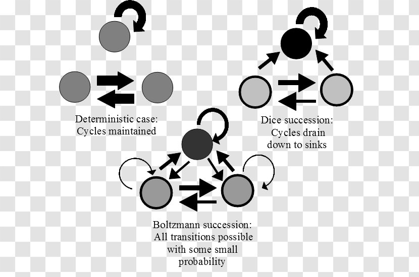 Ecology Ecological Succession Stochastic Probability Markov Chain - Systems - Bayesian Inference Transparent PNG