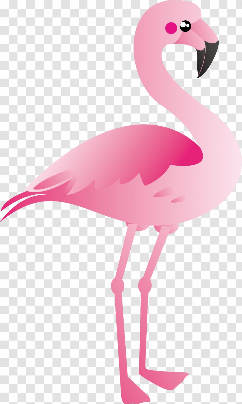 Plastic Flamingo Clip Art - Water Bird - Cartoon Vector Transparent PNG