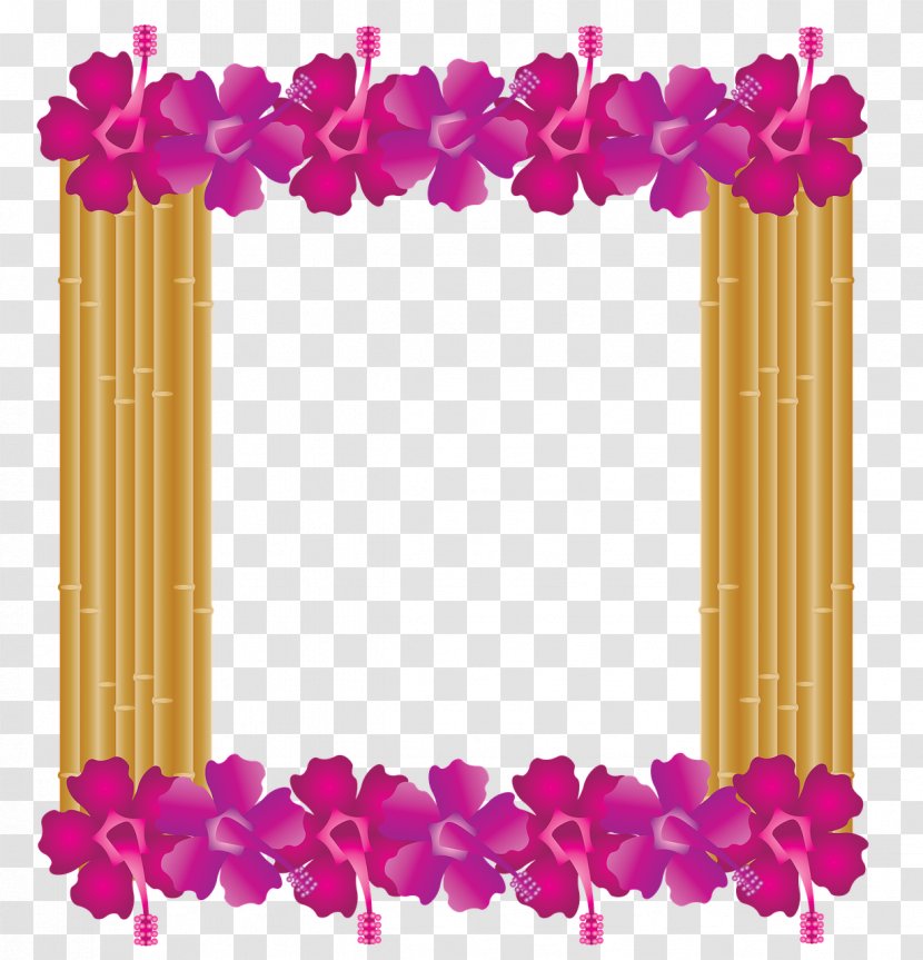Picture Frames Clip Art Floral Design Image Hawaii - Flowering Plant - Tropical Framed Transparent PNG