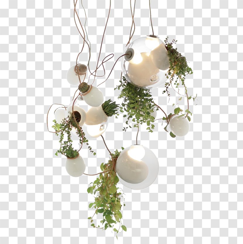 Bocci Lighting Pendant Light Fixture Electric - Floral Design - Hanging Green Plants Transparent PNG