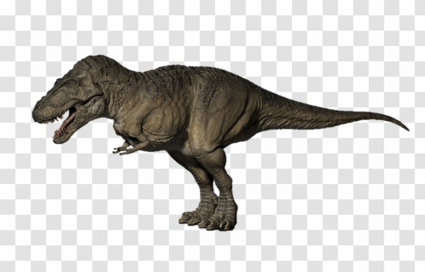 Tyrannosaurus Quetzalcoatlus Triceratops Ankylosaurus Giganotosaurus - When Dinosaurs Roamed America - T Rex Transparent PNG