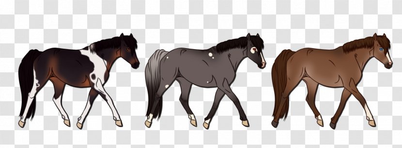 Mustang Irish Sport Horse Foal Stallion Arabian - Mare Transparent PNG