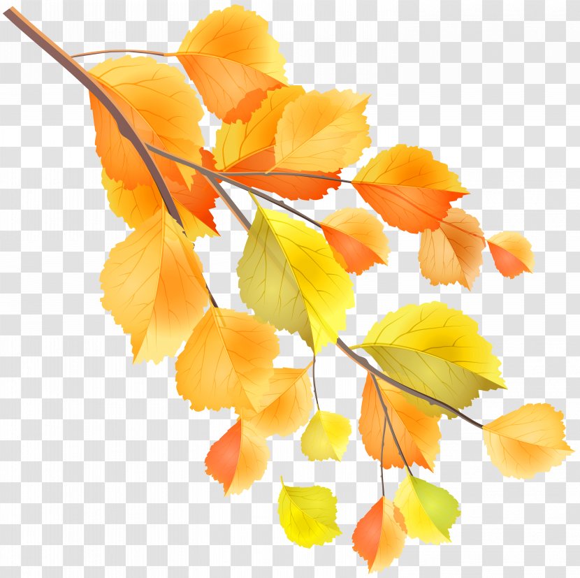 Autumn Branch Clip Art - Petal - Image Transparent PNG